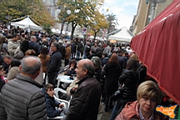 Santa Ninfa 19 11 2016 330.jpg